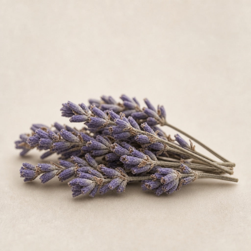 Lavender, up close
