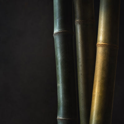 Bamboo culms